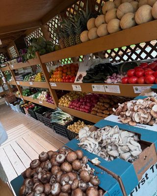 Perkins Orchard by null