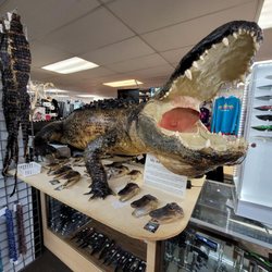 Onestop Shell Shop - Crocodile