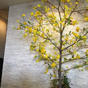 Pho Thien Vietnamese Kitchen - Vietnamese Near Me - Naperville, Illinois Pho Thien Vietnamese Kitchen - Vietnamese Near Me - Naperville, Illinois