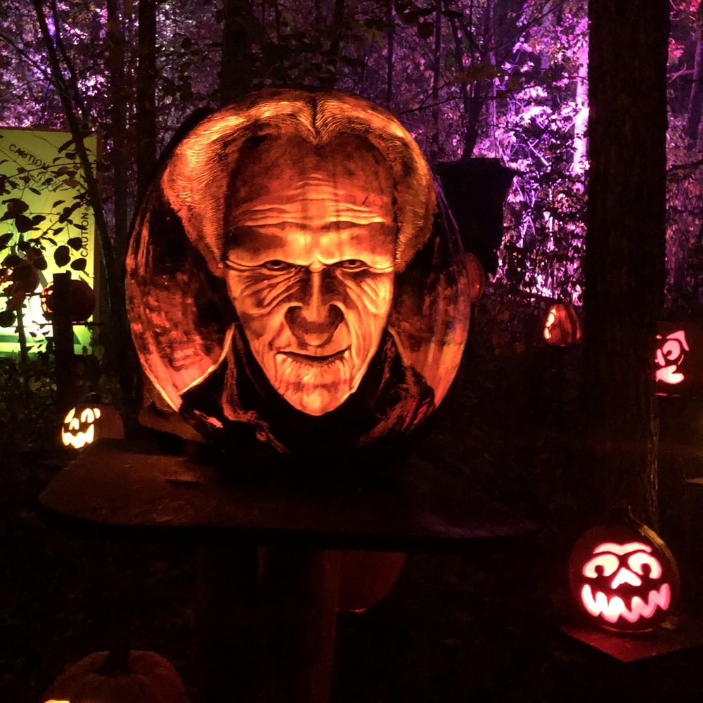 Jack-O-Lantern Spectacular - Dracula pumpkin - Zoos Near Me - Apple Valley, Minnesota Jack-O-Lantern Spectacular - Dracula pumpkin - Zoos Near Me - Apple Valley, Minnesota