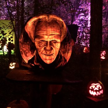 Jack-O-Lantern Spectacular - Dracula pumpkin - Zoos Near Me - Apple Valley, Minnesota