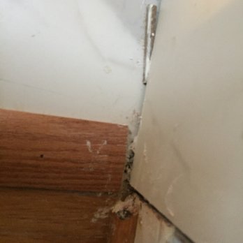 D's Quality Handyman Services - Vertical shot of mis-cut wood floor tile. The gap between as filled with grout. - Painters Near Me - Chester, Virginia D's Quality Handyman Services - Vertical shot of mis-cut wood floor tile. The gap between as filled with grout. - Painters Near Me - Chester, Virginia