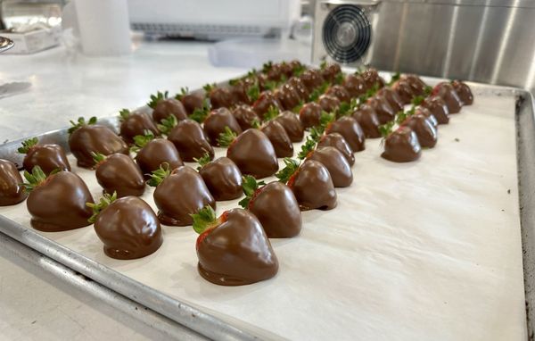 Hershey's Chocolate World by null