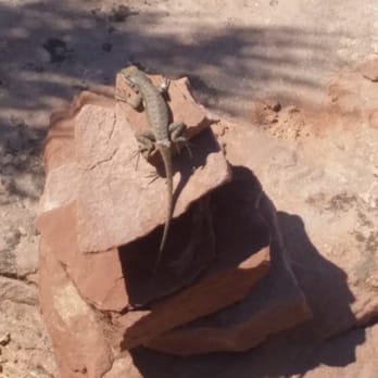 Dead Horse Point State Park - Hiking Near Me - Moab, Utah