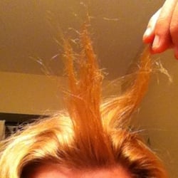 Hair Sculptors - Severe breakage after coloring service at Hair Sculptors
