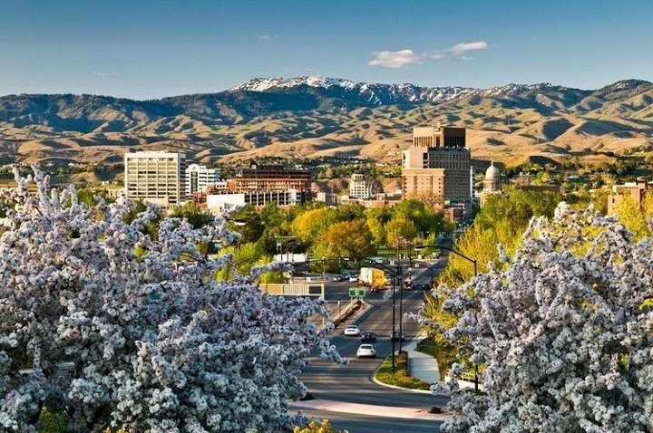 Slide of Cherry Plumbing