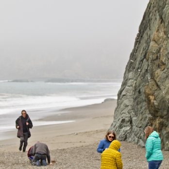 Goat Rock Beach - 🐐Goat Rock State Beach🐐 - Beaches Near Me - Bodega Bay, California Goat Rock Beach - 🐐Goat Rock State Beach🐐 - Beaches Near Me - Bodega Bay, California