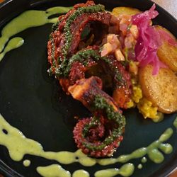 Kondesa - Octopus pastor