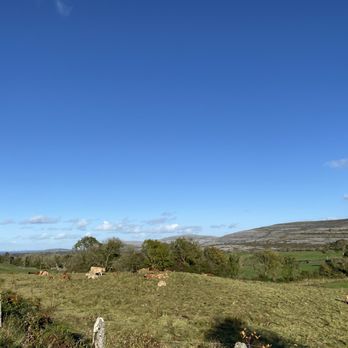 Gregans Castle Hotel - Field view - Hotels Near Me - Ballyvaughan, CE