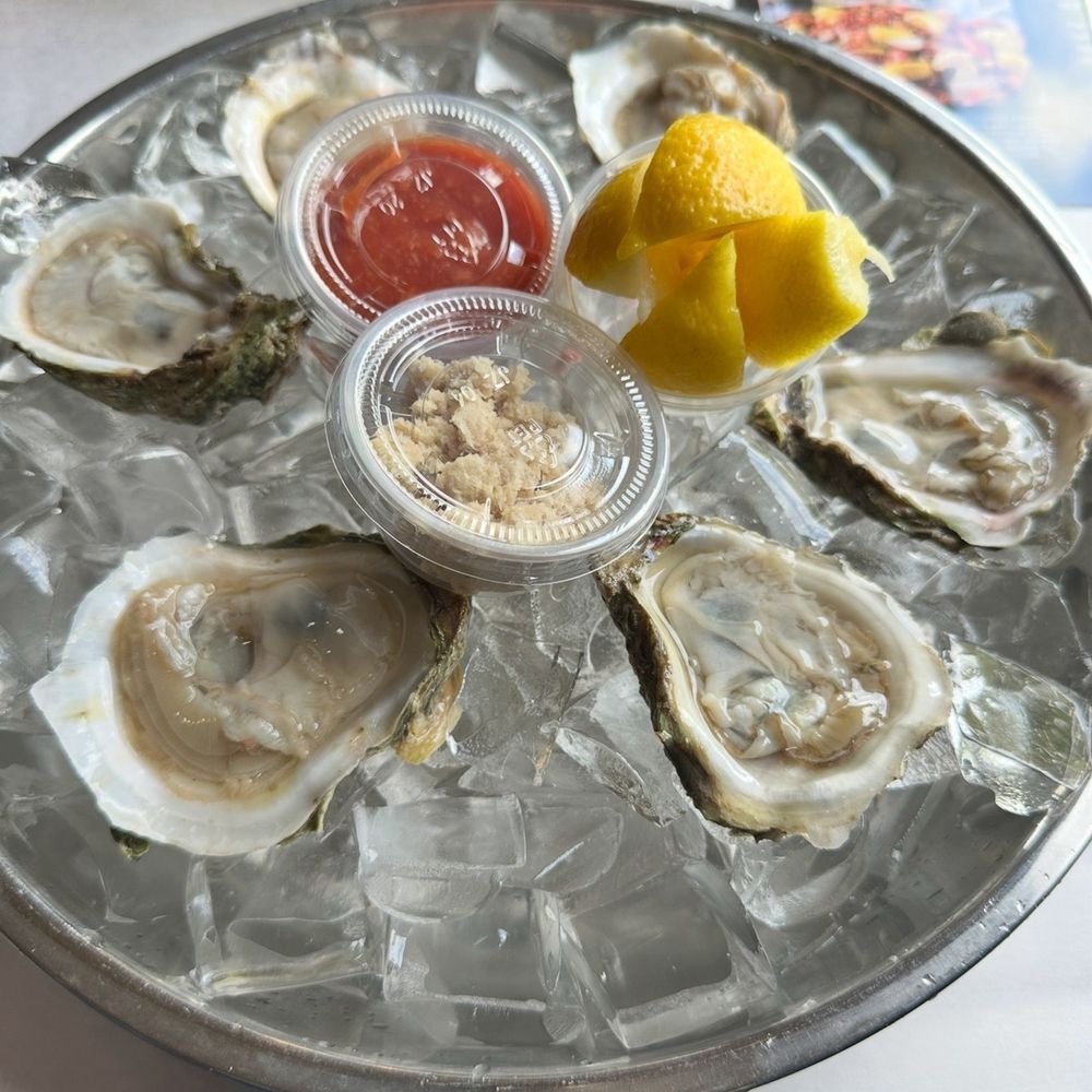 Fresh oysters
