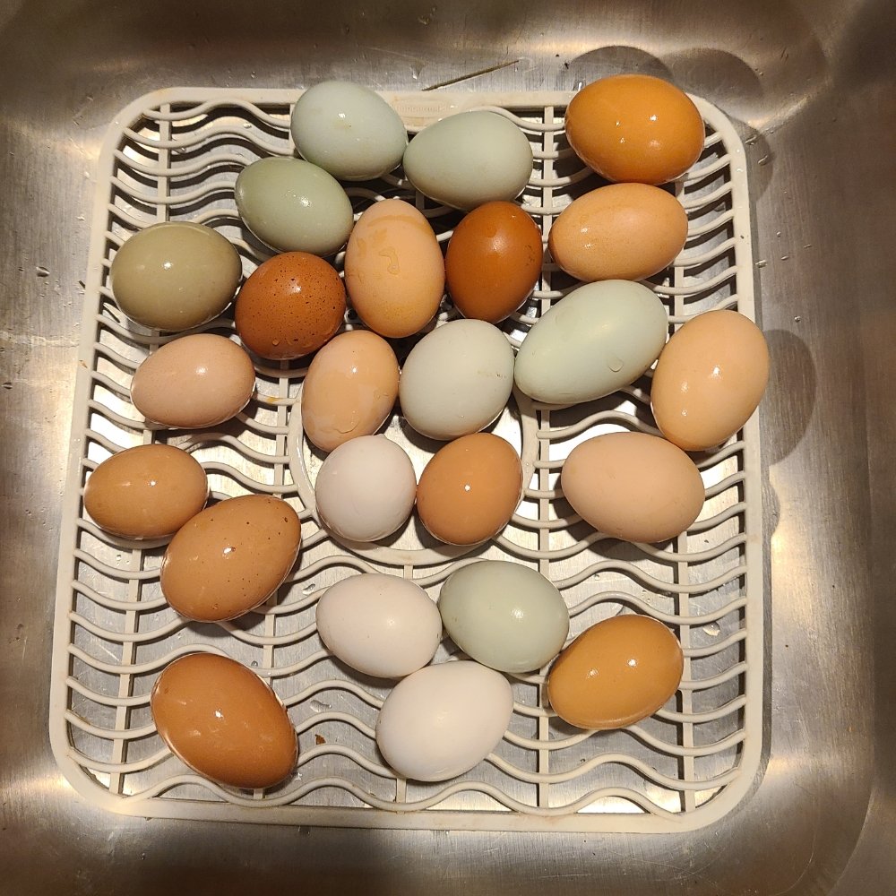 Food from Kenany Farm