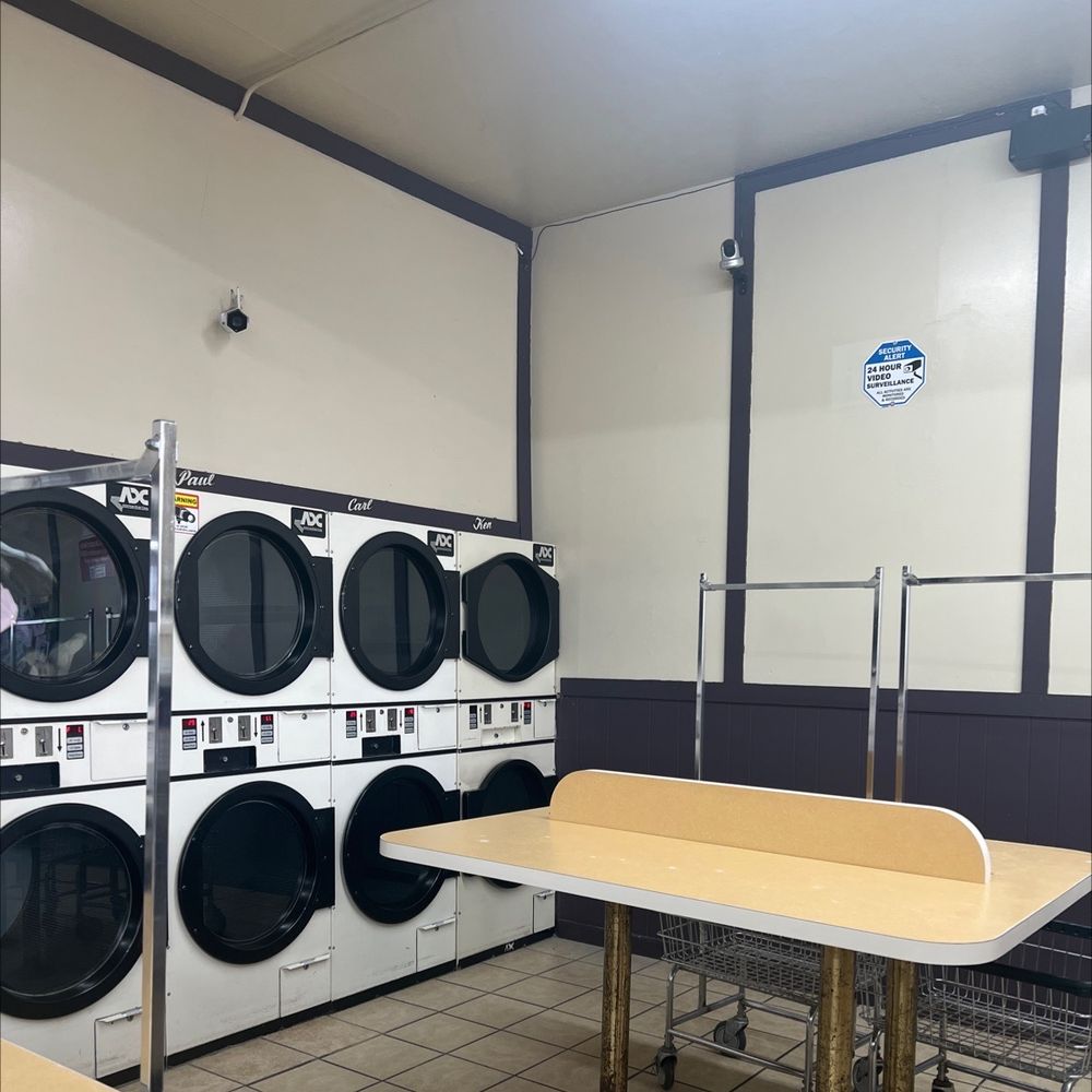 TEDDY BEAR WASH & DRY Updated September 2024 37 Photos 129