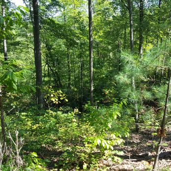 Red River Gorge - Hiking Near Me - Stanton, Kentucky