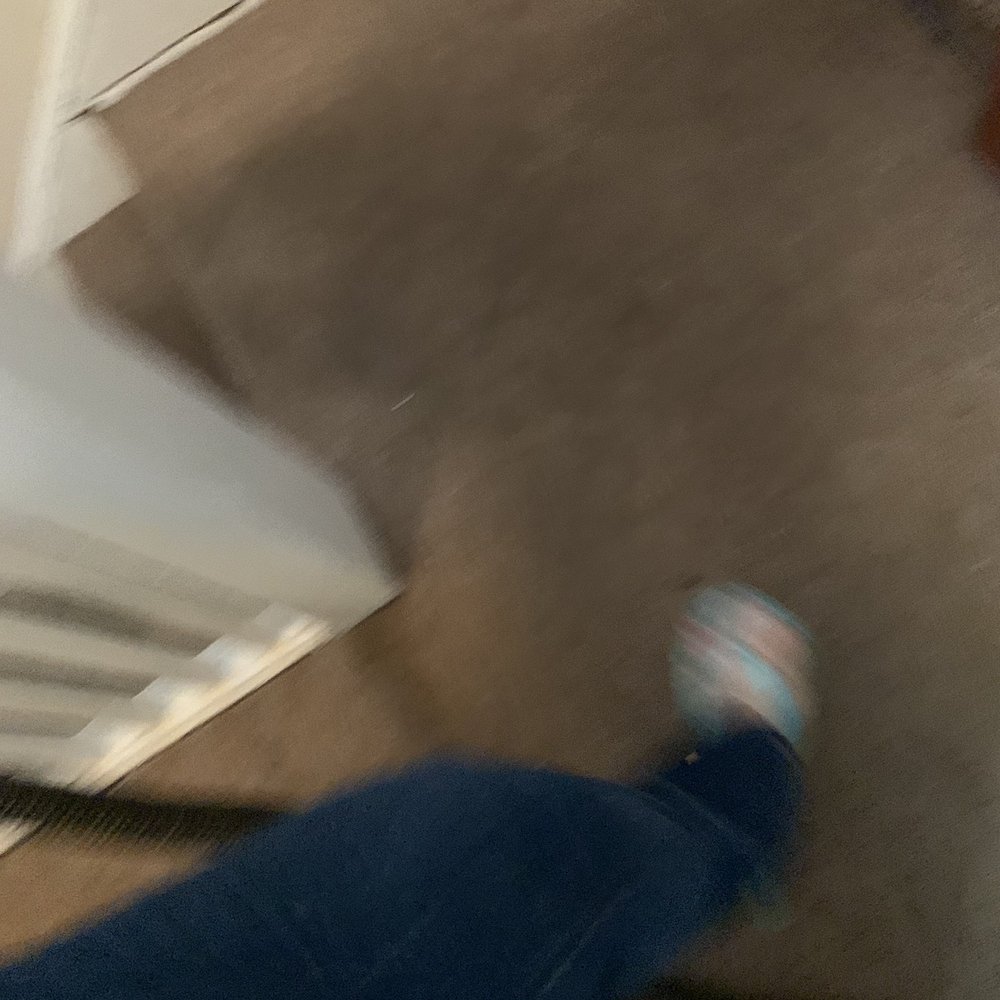 Fantastic Carpet Cleaning NYC - Before - Carpet Cleaning Near Me - Ridgewood, New York Fantastic Carpet Cleaning NYC - Before - Carpet Cleaning Near Me - Ridgewood, New York