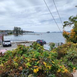 Pedego Electric Bikes Boothbay Harbor