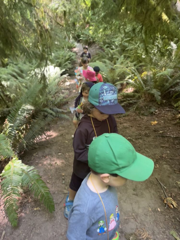 Cometa Playschool - childcare center in Seattle, WA
