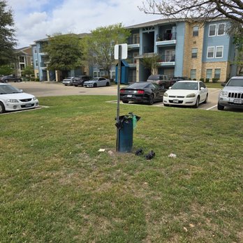 Oasis at Plum Creek by Avesta - Apartments Near Me - Kyle, Texas Oasis at Plum Creek by Avesta - Apartments Near Me - Kyle, Texas