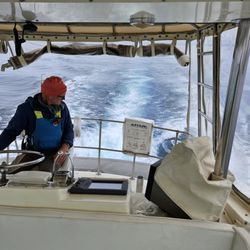 Lilly's Marine - Lilly's Marine in action. Great people, making a serious project and dream happen.