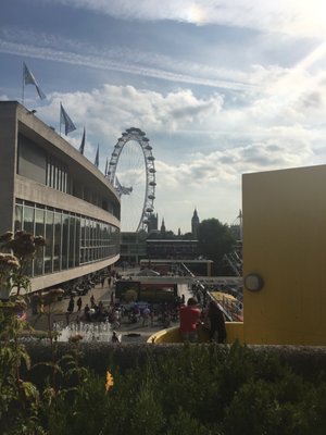 Queen Elizabeth Hall Roof Garden by null