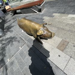 The Mall's Pigs