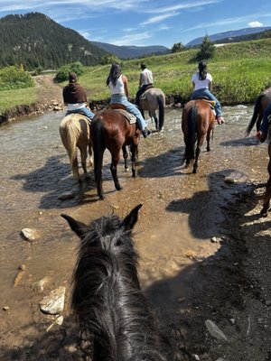 Jake's Horses Inc. by null