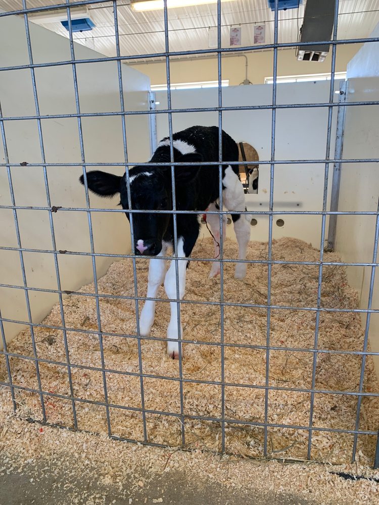 PINELAND FARMS 98 Photos & 43 Reviews 15 Farm View Dr, New