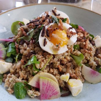 Two Hands - Farro salad - Cafes Near Me - Brooklyn, New York Two Hands - Farro salad - Cafes Near Me - Brooklyn, New York