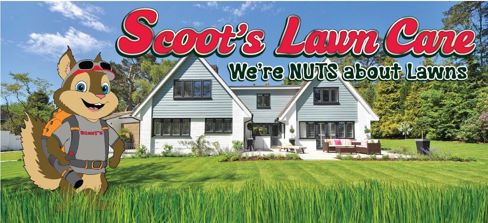 Scoot's Lawn Care - tree service in Mauldin, SC