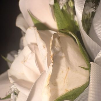 Vegas Flowers - Florists Near Me - Las Vegas, Nevada Vegas Flowers - Florists Near Me - Las Vegas, Nevada