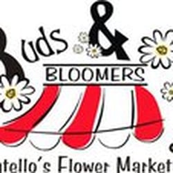 Buds & Bloomers
