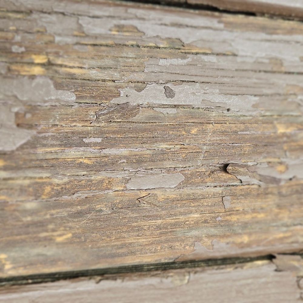 Wood Renew - Wet wood under stain scraped off - Pressure Washers Near Me - Springfield, Missouri Wood Renew - Wet wood under stain scraped off - Pressure Washers Near Me - Springfield, Missouri