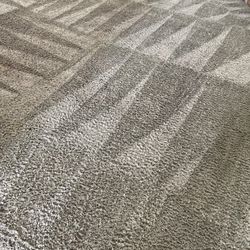 EcoCarpet Cleaning Service - Living room carpet it was bad I didn't think we could save it.