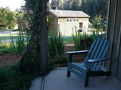 Costanoa by null