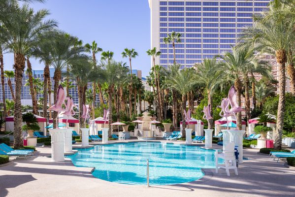 Flamingo Las Vegas by null