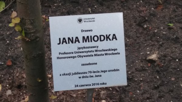 Botanical Garden of the University of Wrocław by null