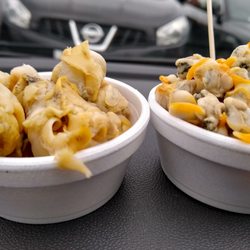 Conwy Mussel Co - Little fresh ready-to-eat pots whelks (L) and cockles (R)