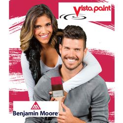 Vista Paint