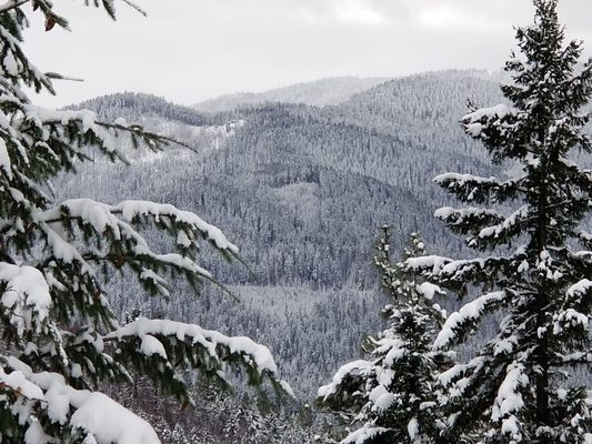 Umpqua's Last Resort - Wilderness Cabins, RV Park and Glamping by null