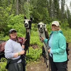 Swan Mountain Outfitters - End of our Trek with the Llamas