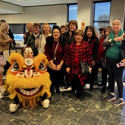 Houston Asiatown Tours