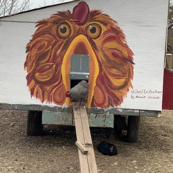 Sweet Eats Adventure Farm - Side of eggs truck - Attraction Farms Near Me - Georgetown, Texas