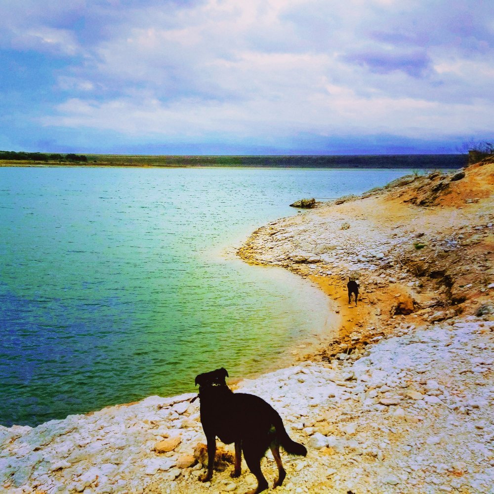 Top 10 Best Things to Do near Jarrell, TX Last Updated August 2021 Yelp