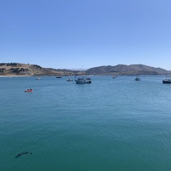 Port San Luis Harbor District - Public Services & Government Near Me - Avila Beach, California Port San Luis Harbor District - Public Services & Government Near Me - Avila Beach, California