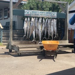 Coastal Charters - Our catch with Captain Jake