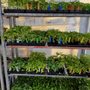 Photo of Agra Greenhouses
