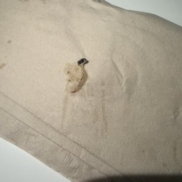 Found in Fusilli Pasta