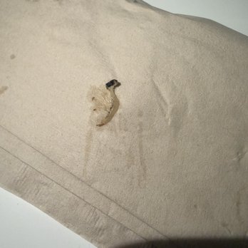 California Pizza Kitchen - Found in Fusilli Pasta - Pizza Near Me - Studio City, California
