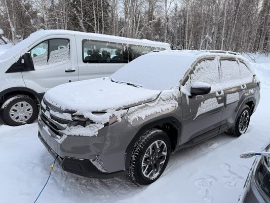 Alaska Grizzly Lodge by null