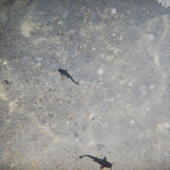 Cenote Tankach há - Hiking Near Me - Tulum, ROO