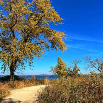 Picnic Point - Local Flavor Near Me - Madison, Wisconsin